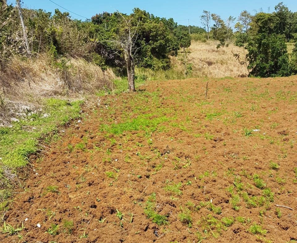 Twenty-First image of Southfield in Runaway Bay, St. Ann, Jamaica - property is For Sale
