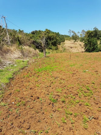 Twenty-First image of Southfield in Runaway Bay, St. Ann, Jamaica - property is For Sale