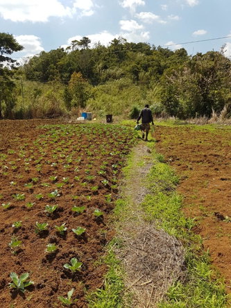 Twenty-Third image of Southfield in Runaway Bay, St. Ann, Jamaica - property is For Sale