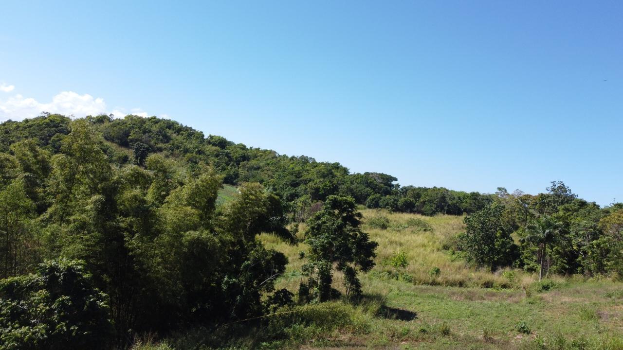8.42-Acres-Residential-Development-Land-for-Sale-in-Southfield-St.-Ann-Jamaica Twenty-Seventh image of Southfield in Runaway Bay, St. Ann, Jamaica - property is For Sale