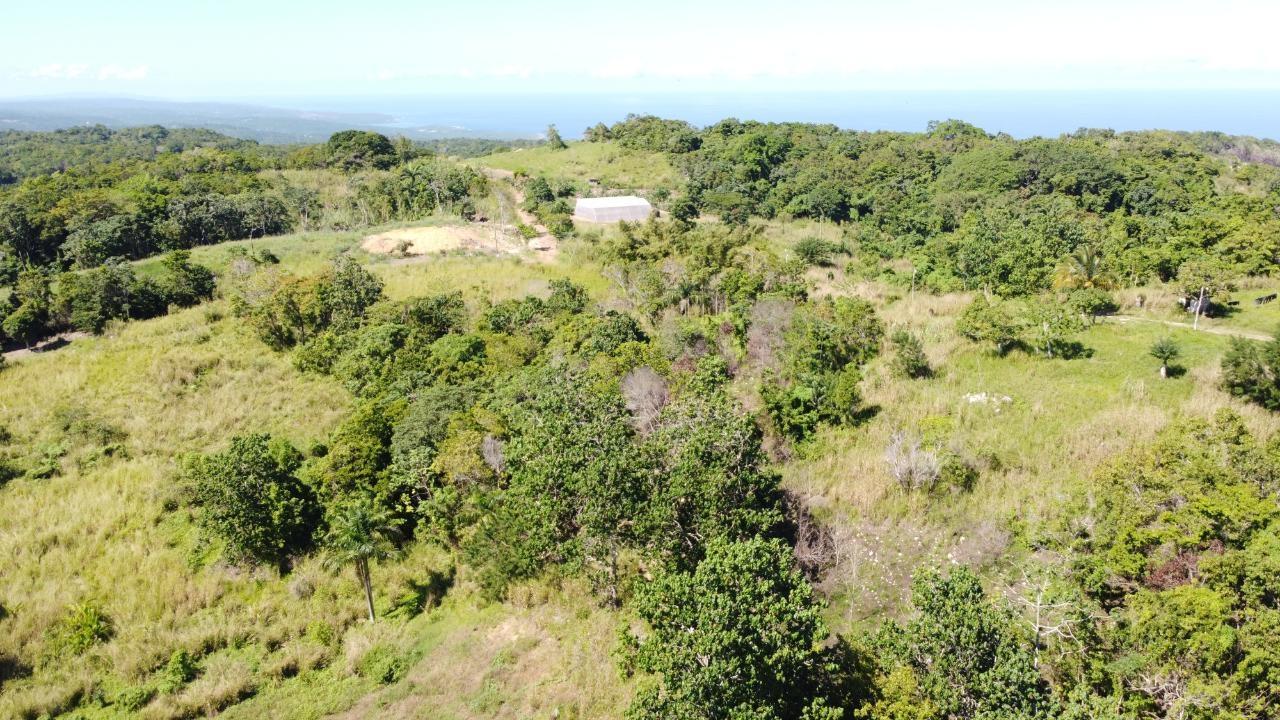 8.42-Acres-Residential-Development-Land-for-Sale-in-Southfield-St.-Ann-Jamaica Twenty-Eighth image of Southfield in Runaway Bay, St. Ann, Jamaica - property is For Sale