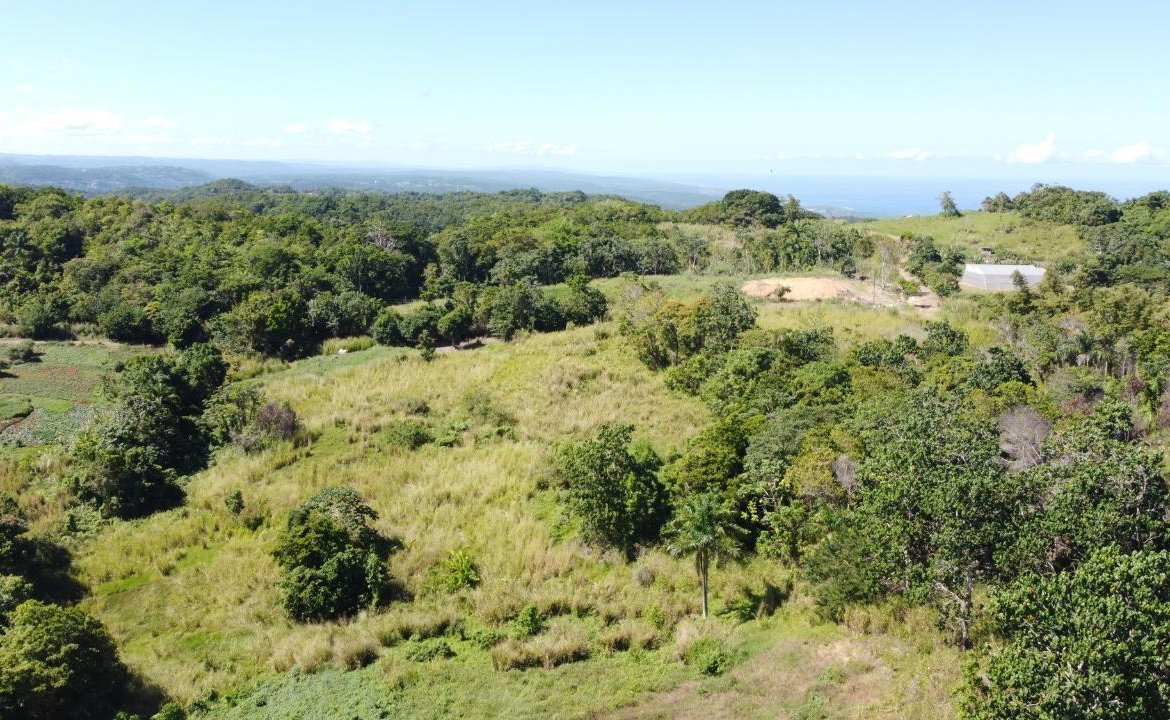 Fifth image of Southfield in Runaway Bay, St. Ann, Jamaica - property is For Sale