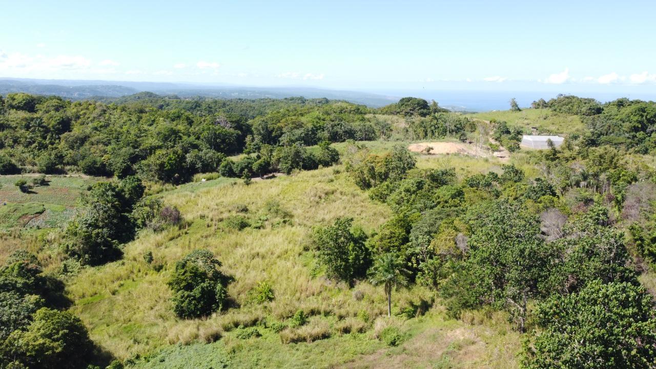 8.42-Acres-Residential-Development-Land-for-Sale-in-Southfield-St.-Ann-Jamaica Fifth image of Southfield in Runaway Bay, St. Ann, Jamaica - property is For Sale