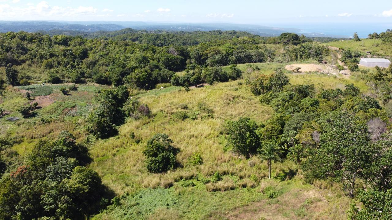 8.42-Acres-Residential-Development-Land-for-Sale-in-Southfield-St.-Ann-Jamaica Sixth image of Southfield in Runaway Bay, St. Ann, Jamaica - property is For Sale