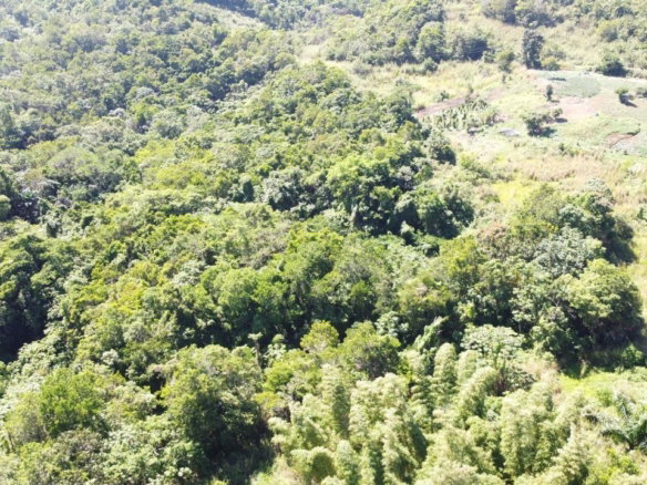 First image of Southfield in Runaway Bay, St. Ann, Jamaica - property is For Sale