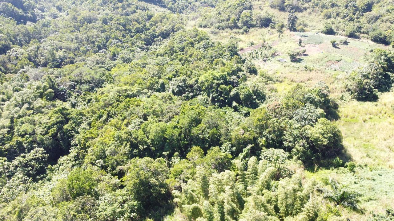 8.42-Acres-Residential-Development-Land-for-Sale-in-Southfield-St.-Ann-Jamaica First image of Southfield in Runaway Bay, St. Ann, Jamaica - property is For Sale