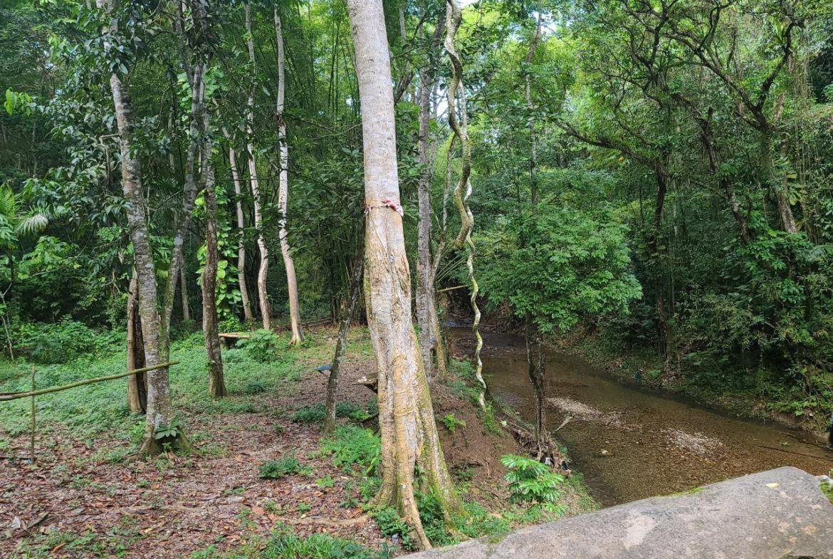 Second image of Orange River, Montego Bay in Montego Bay, St. James, Jamaica - property is For Sale