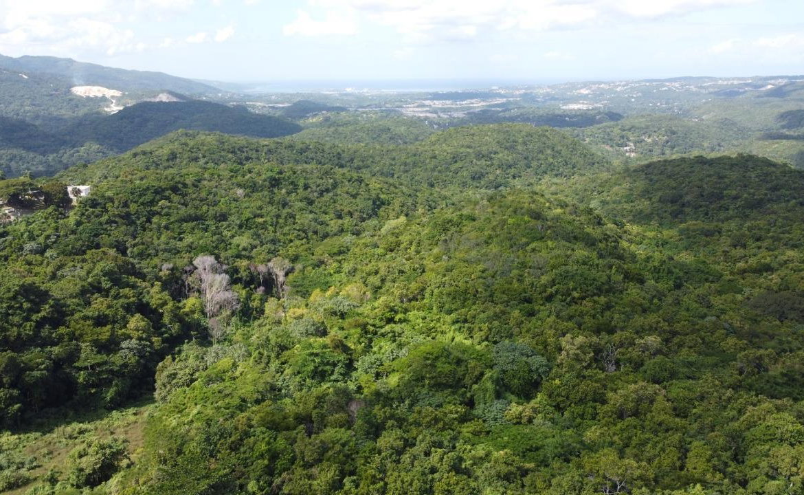 Twelfth image of Orange River, Montego Bay in Montego Bay, St. James, Jamaica - property is For Sale