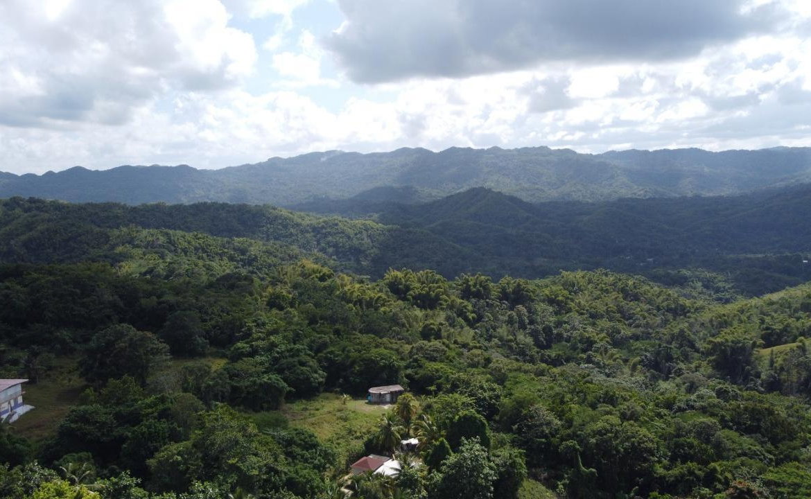 Thirteenth image of Orange River, Montego Bay in Montego Bay, St. James, Jamaica - property is For Sale