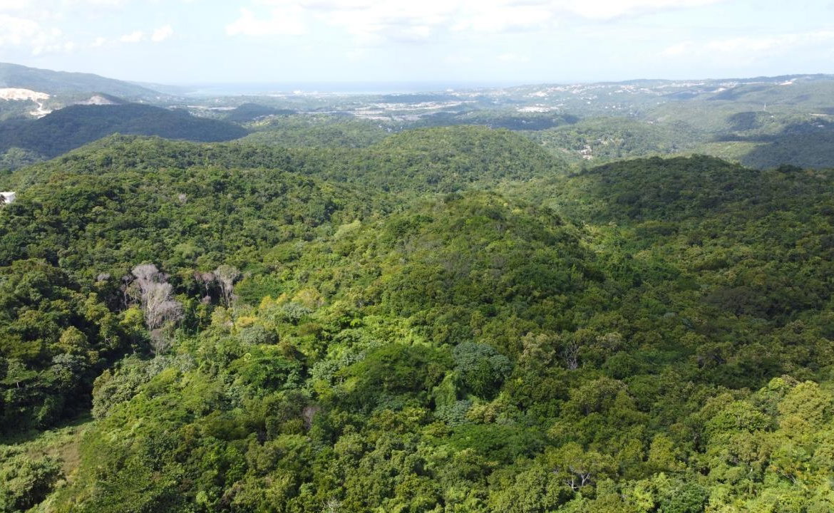 Fifteenth image of Orange River, Montego Bay in Montego Bay, St. James, Jamaica - property is For Sale