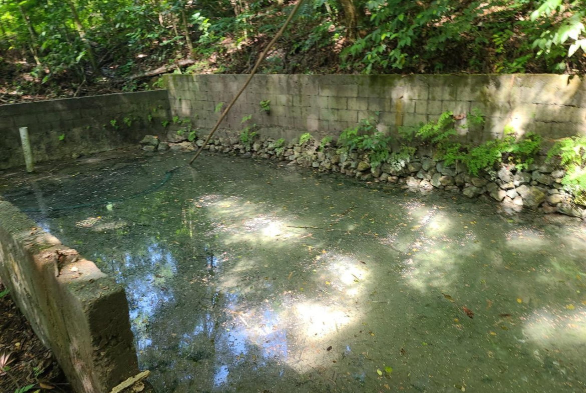 Twentieth image of Orange River, Montego Bay in Montego Bay, St. James, Jamaica - property is For Sale