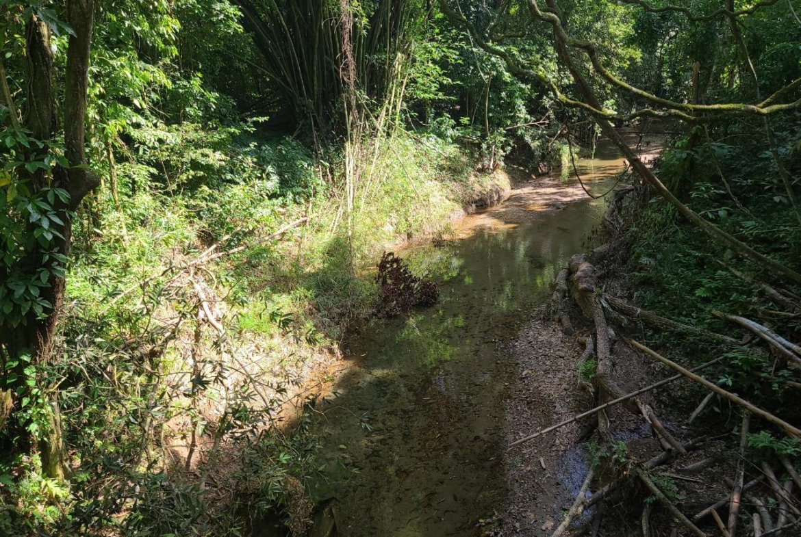 Third image of Orange River, Montego Bay in Montego Bay, St. James, Jamaica - property is For Sale