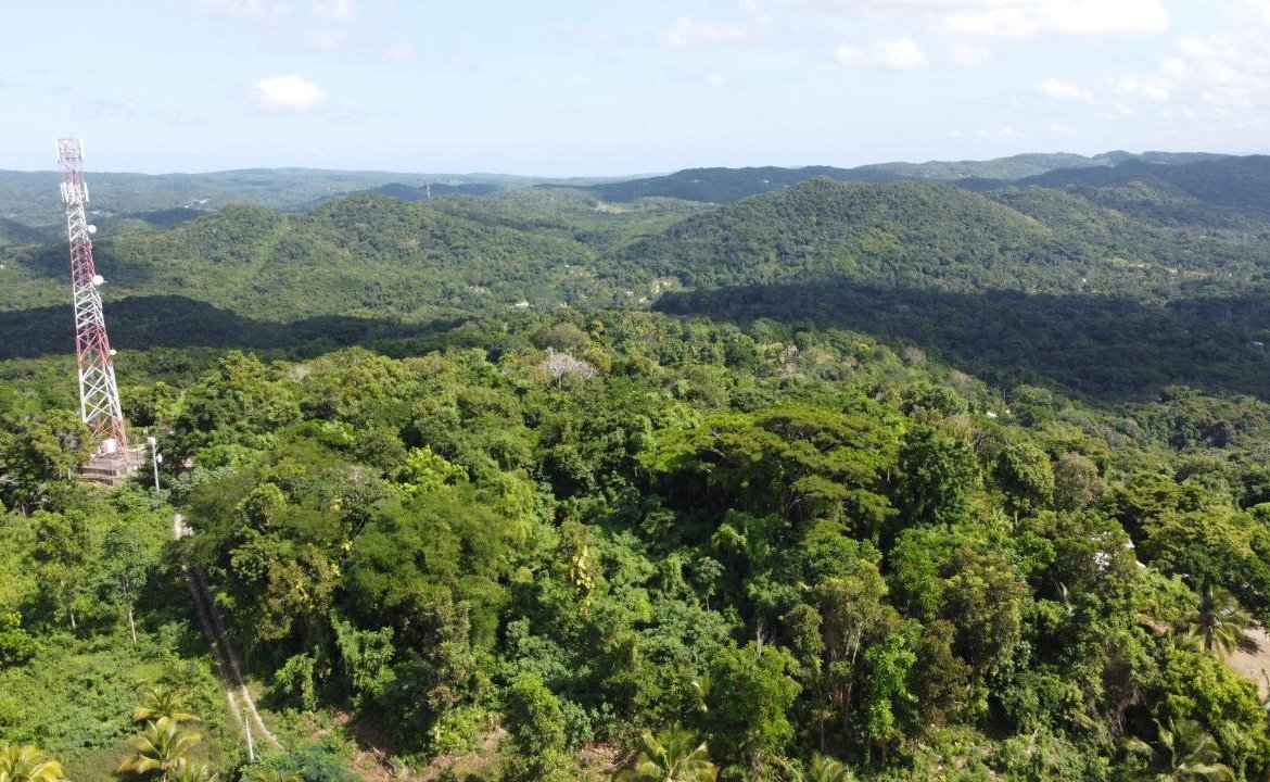 Twenty-First image of Orange River, Montego Bay in Montego Bay, St. James, Jamaica - property is For Sale