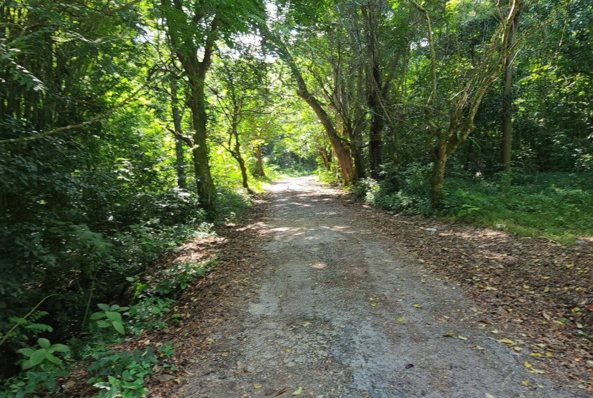 Twenty-Second image of Orange River, Montego Bay in Montego Bay, St. James, Jamaica - property is For Sale