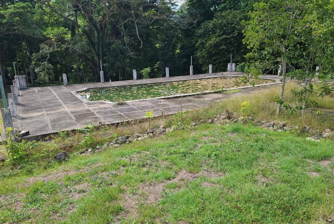 Sixth image of Orange River, Montego Bay in Montego Bay, St. James, Jamaica - property is For Sale