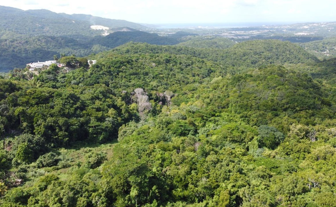 Tenth image of Orange River, Montego Bay in Montego Bay, St. James, Jamaica - property is For Sale