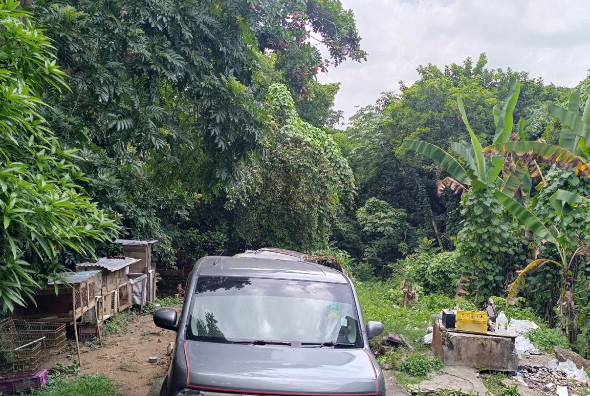 Third image of Burnt Shop rd in Lawrence Tavern P.O., St. Andrew, Jamaica - property is For Sale
