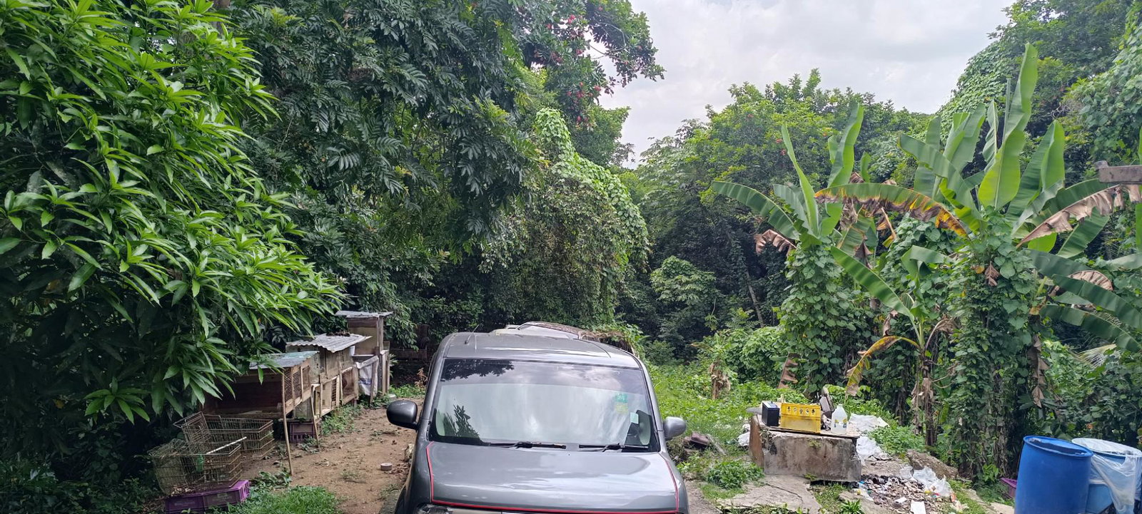 Third image of Burnt Shop rd in Lawrence Tavern P.O., St. Andrew, Jamaica - property is For Sale