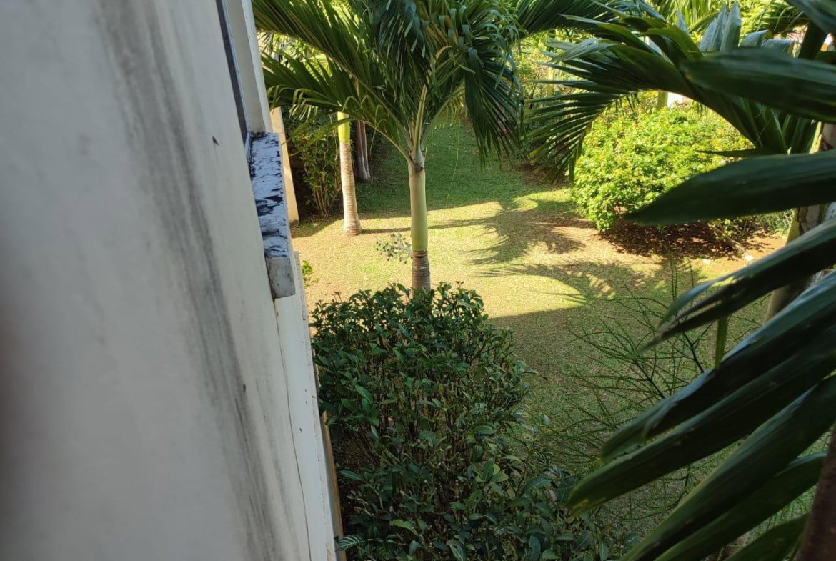 Thirteenth image of 11- Mango Valley, Boscobel in Boscobel, St. Mary, Jamaica - property is For Sale