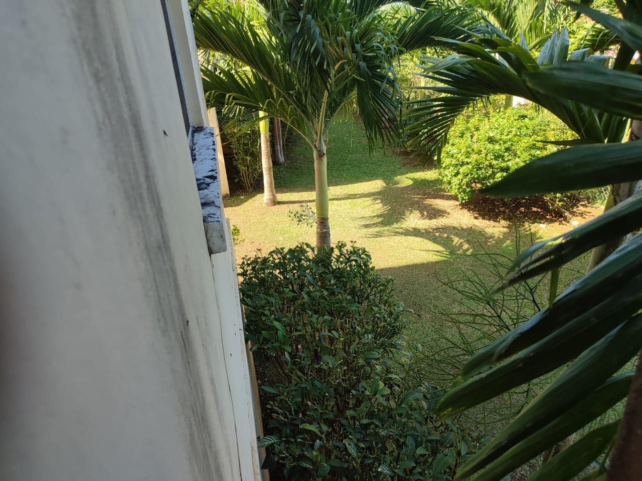 Thirteenth image of 11- Mango Valley, Boscobel in Boscobel, St. Mary, Jamaica - property is For Sale