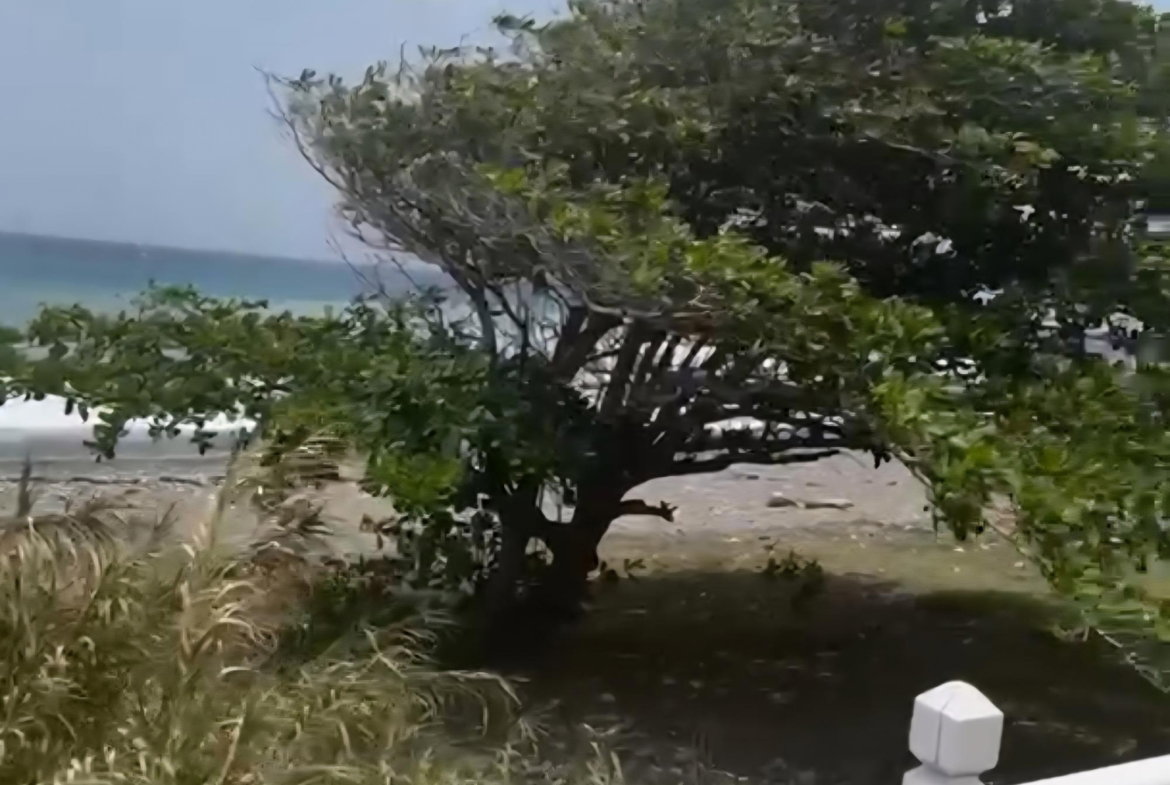 First image of 13 Wickie Wackie Drive in Bull Bay P.O., St. Andrew, Jamaica - property is For Sale