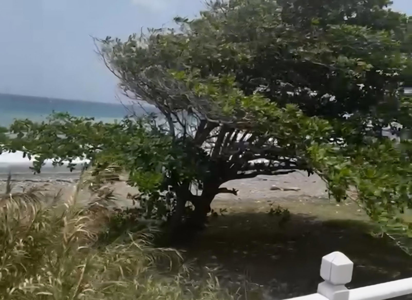 Beachfront-3-Bed-House-for-Sale-in-Wickie-Wackie-St.-Andrew-Jamaica First image of 13 Wickie Wackie Drive in Bull Bay P.O., St. Andrew, Jamaica - property is For Sale