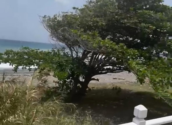 First image of 13 Wickie Wackie Drive in Bull Bay P.O., St. Andrew, Jamaica - property is For Sale