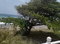 First image of 13 Wickie Wackie Drive in Bull Bay P.O., St. Andrew, Jamaica - property is For Sale