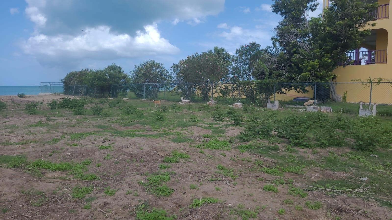 Second image of Part of Parottee, St. Eli in Parottee, St. Elizabeth, Jamaica - property is For Sale