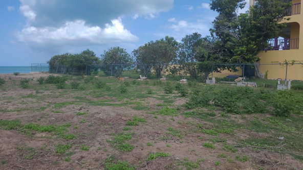 Second image of Part of Parottee, St. Eli in Parottee, St. Elizabeth, Jamaica - property is For Sale