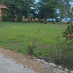 First image of Part of Parottee, St. Eli in Parottee, St. Elizabeth, Jamaica - property is For Sale