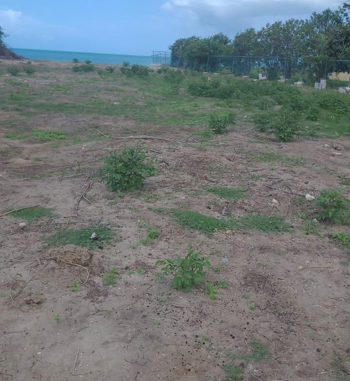 Third image of Part of Parottee, St. Eli in Parottee, St. Elizabeth, Jamaica - property is For Sale