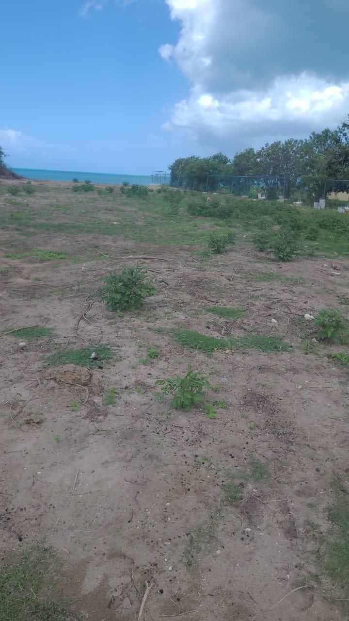 Third image of Part of Parottee, St. Eli in Parottee, St. Elizabeth, Jamaica - property is For Sale