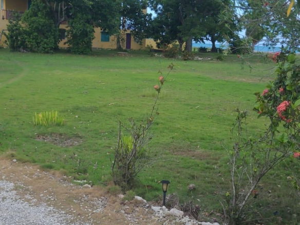 First image of Part of Parottee, St. Eli in Parottee, St. Elizabeth, Jamaica - property is For Sale