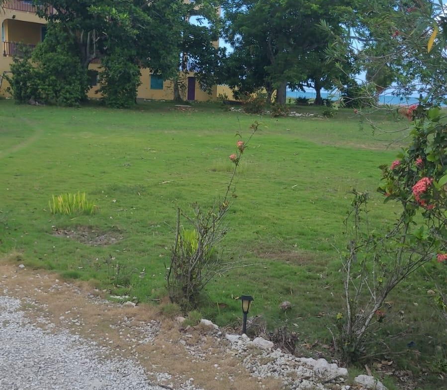 First image of Part of Parottee, St. Eli in Parottee, St. Elizabeth, Jamaica - property is For Sale