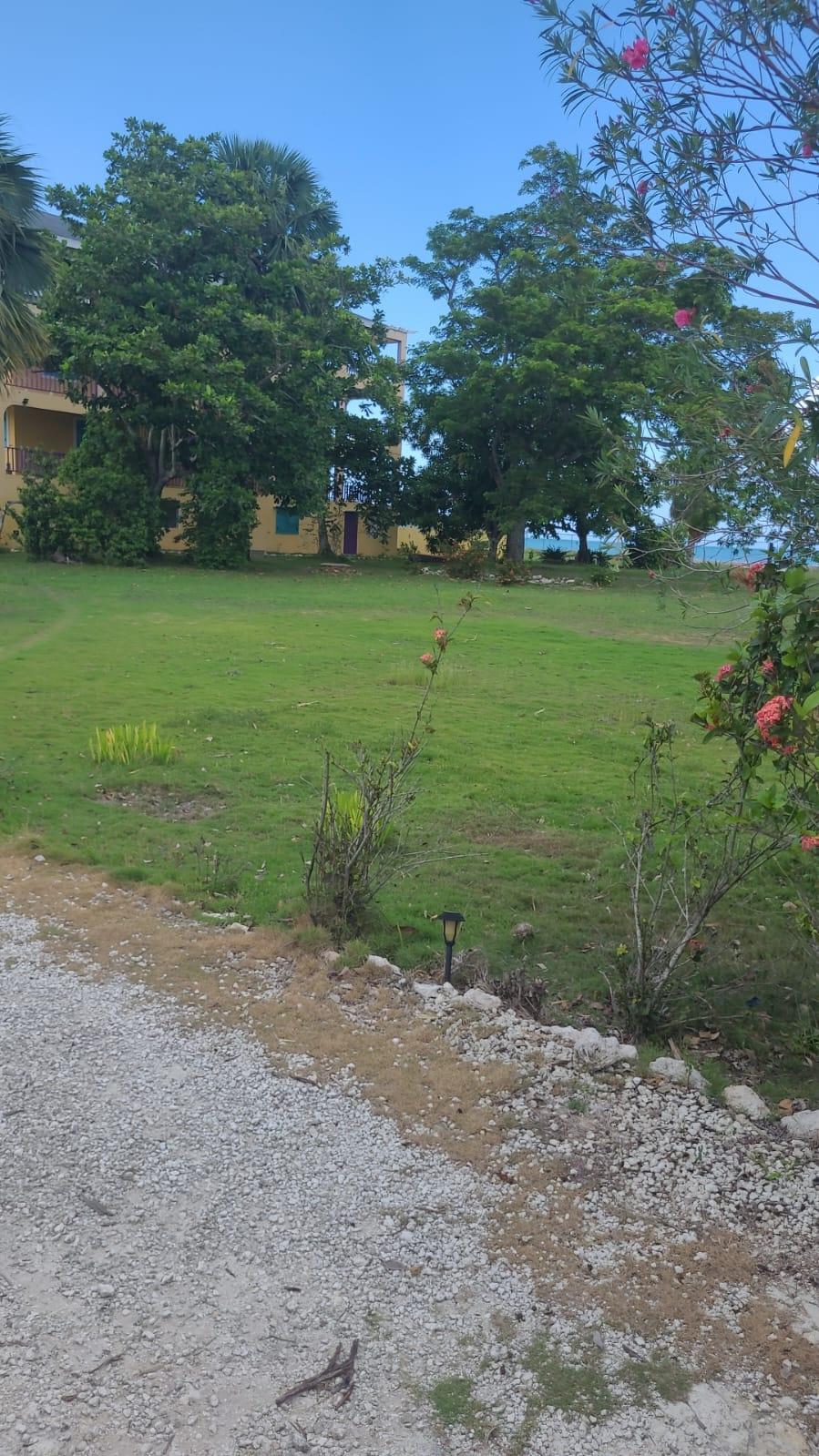 First image of Part of Parottee, St. Eli in Parottee, St. Elizabeth, Jamaica - property is For Sale