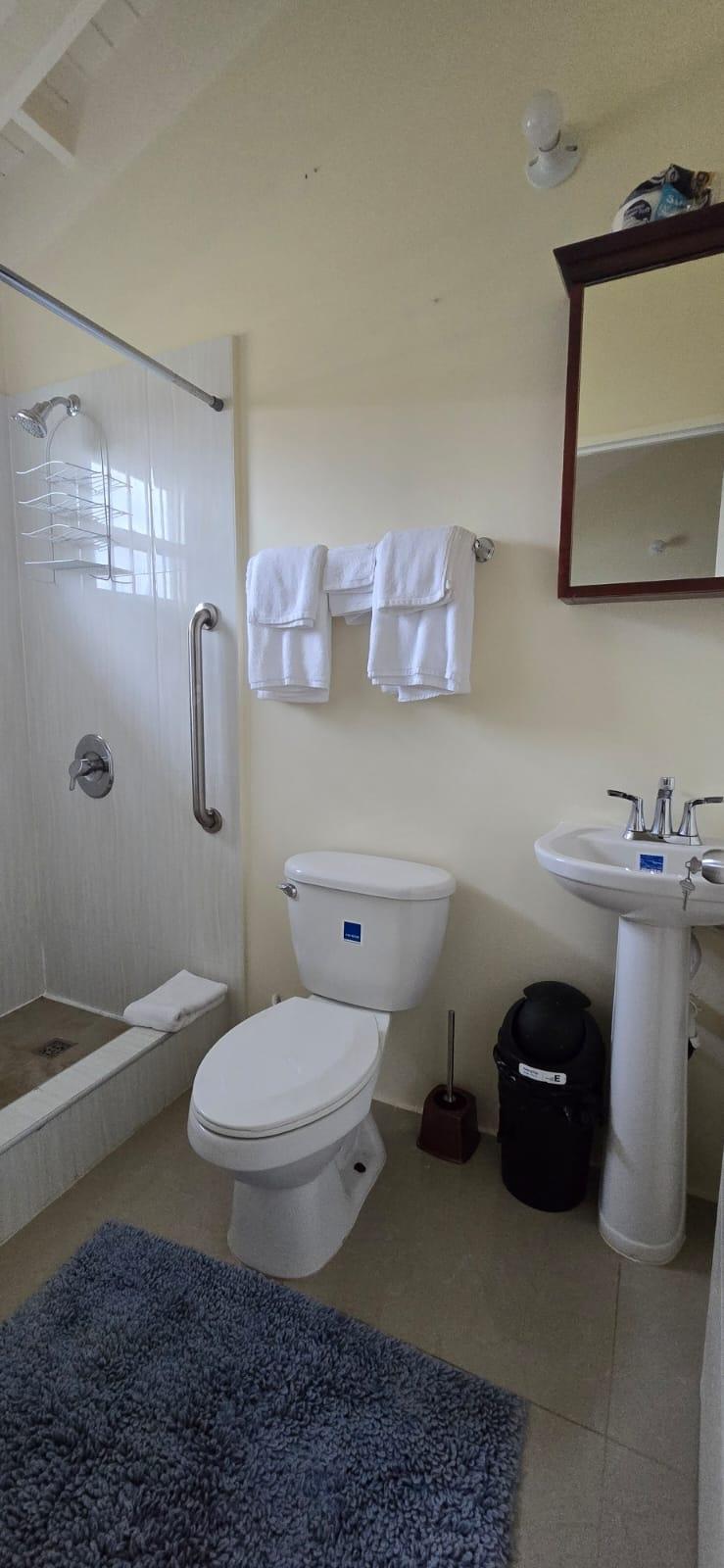 Eighth image of 292 Hibiscus Avenue Stonebroo in STONEBROOK, Trelawny, Jamaica - property is For Rent