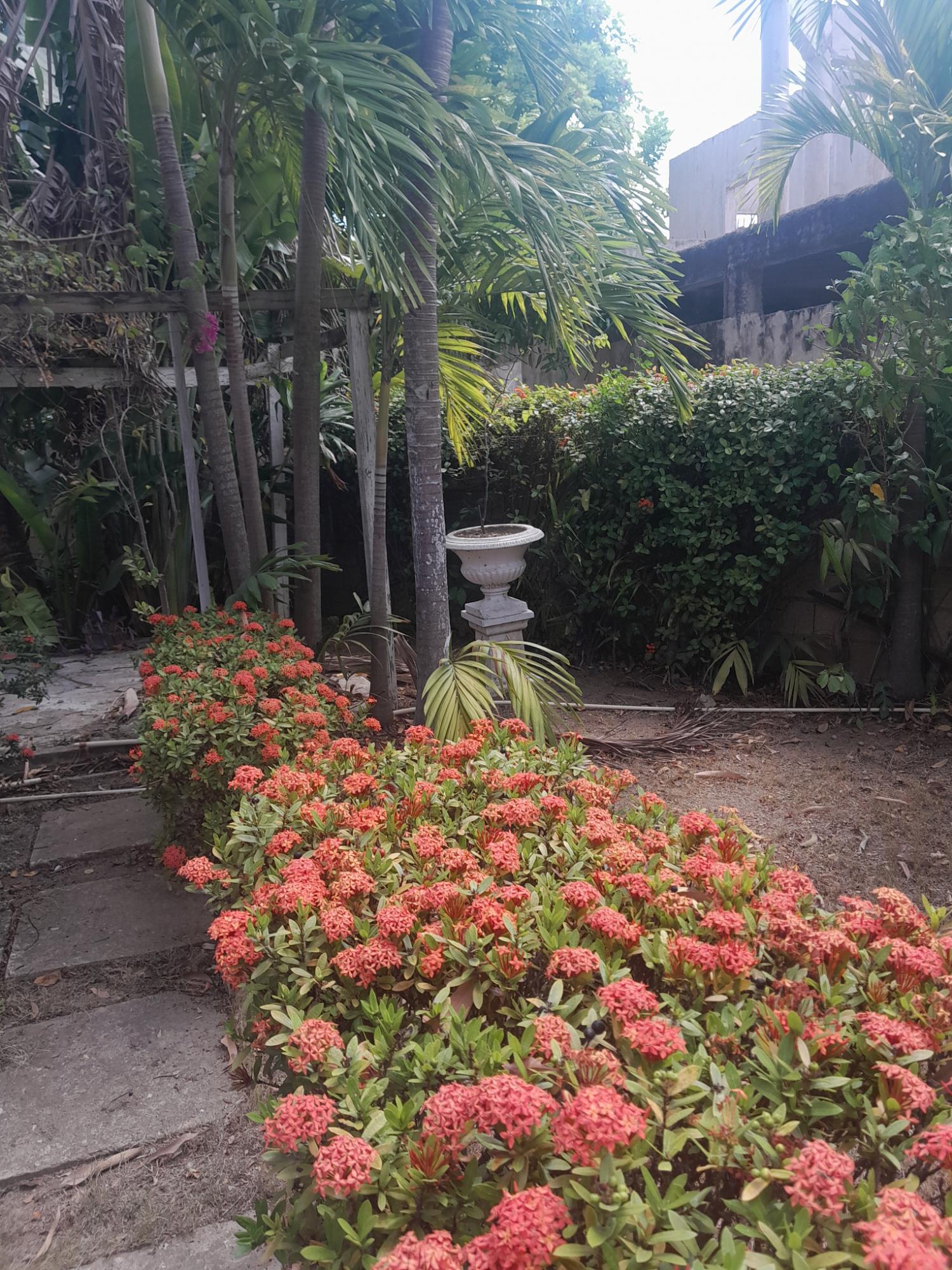 Seventh image of 16 Highfield Close in Spanish Town, St. Catherine, Jamaica - property is For Sale