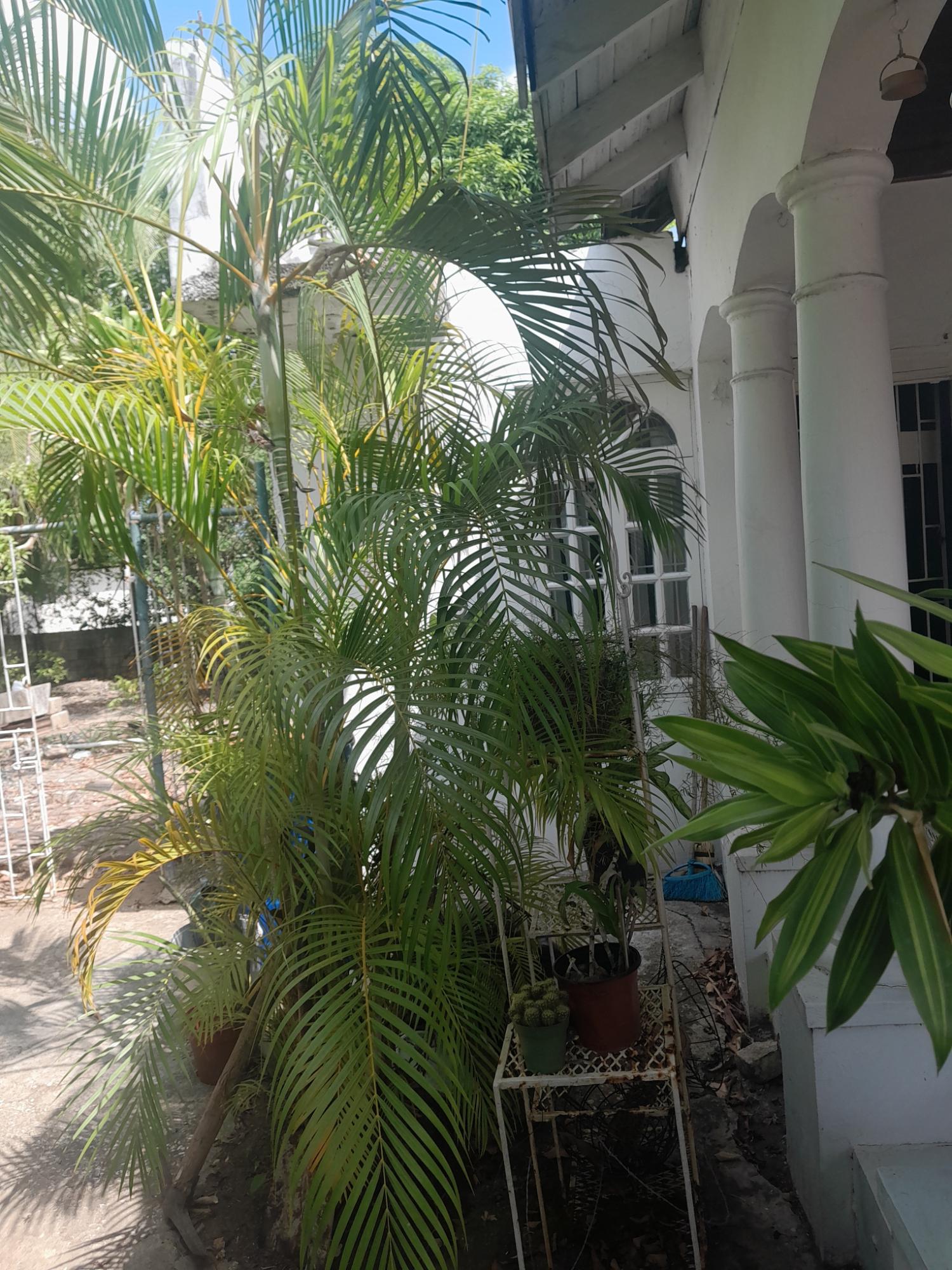 Ninth image of 16 Highfield Close in Spanish Town, St. Catherine, Jamaica - property is For Sale
