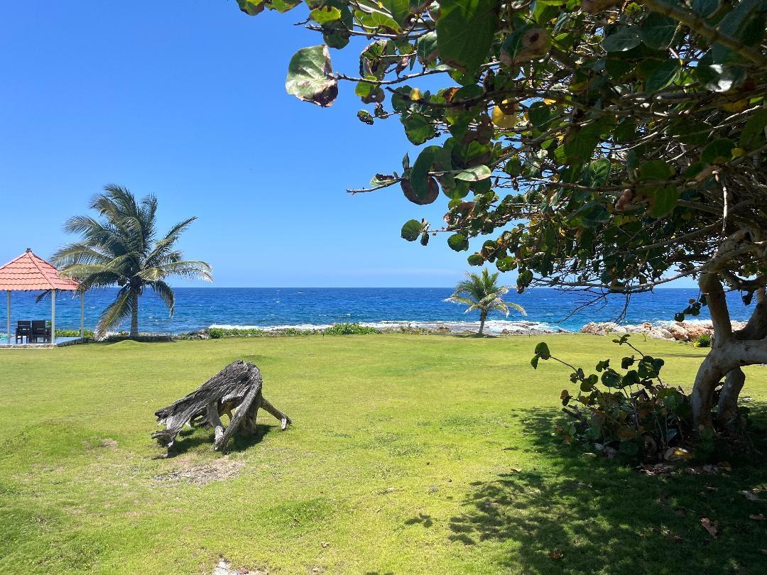 Seventeenth image of Belretiro, Galina in Galina, St. Mary, Jamaica - property is For Sale