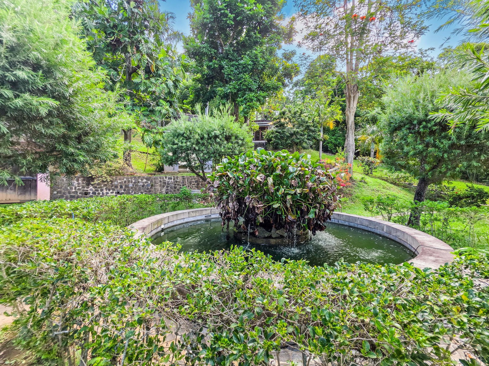 Sixteenth image of Cottage-5 Ellerslie Way in Irish Town P.A., St. Andrew, Jamaica - property is For Rent