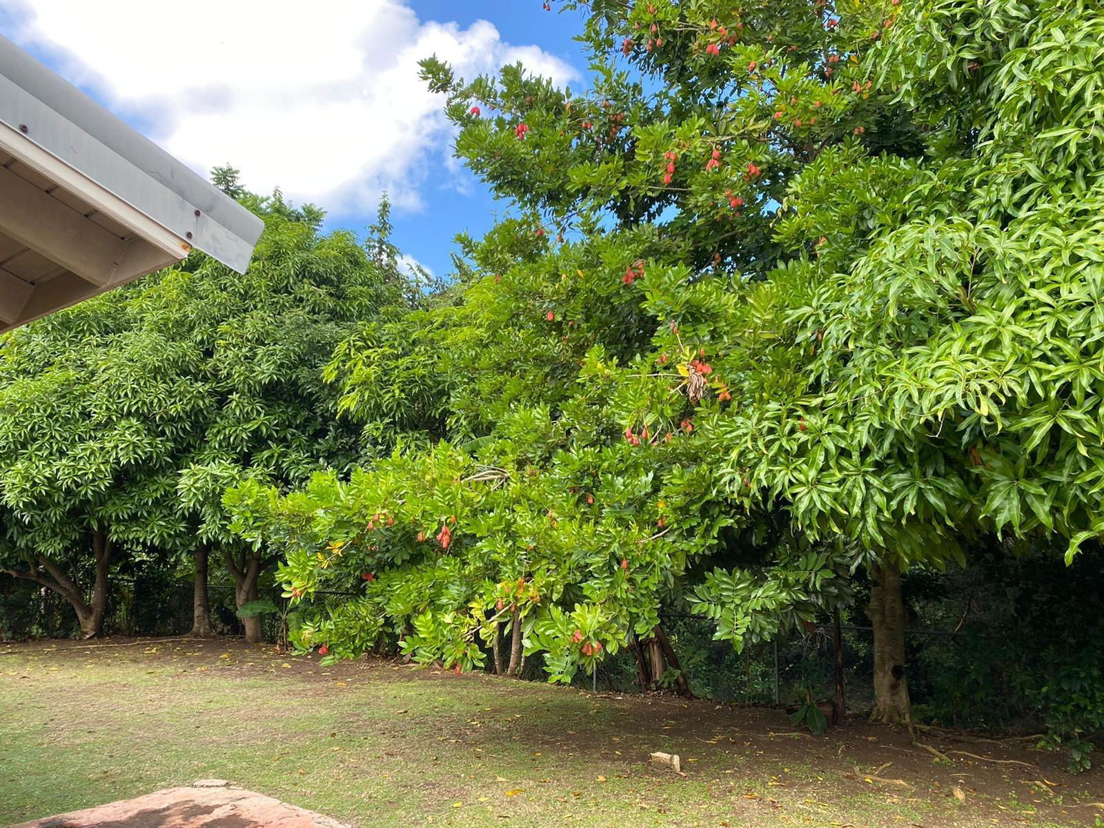 Third image of 122 Grant Close, Rosevale ro in Little River, St. James, Jamaica - property is For Sale