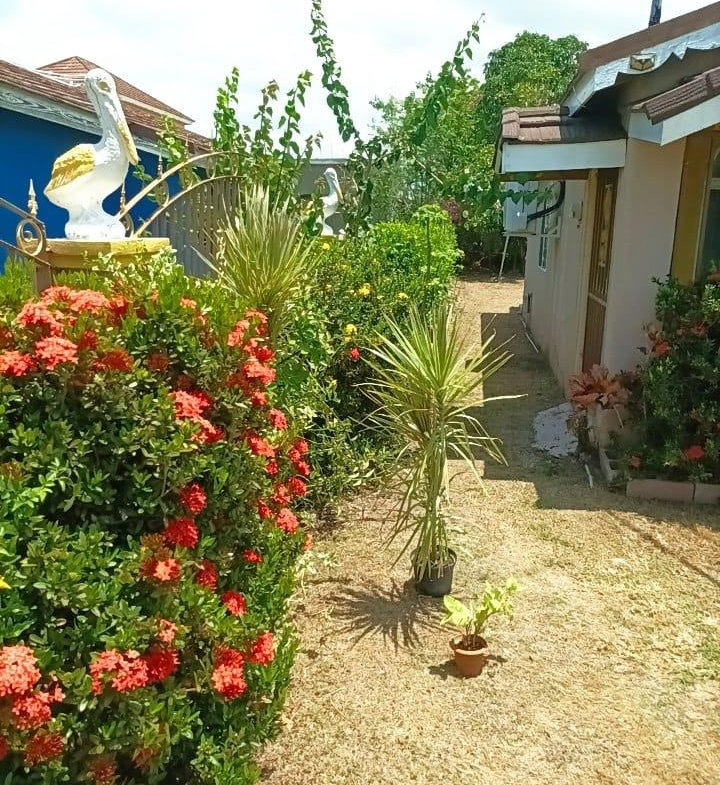 Nineteenth image of 798 New Harbour Village 1 in Old Harbour, St. Catherine, Jamaica - property is For Sale