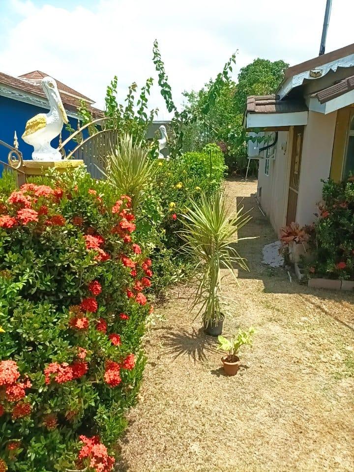 Charming-2-Bedroom-House-for-Sale-in-New-Harbour-Village-1-St.-Catherine-Jamaica Nineteenth image of 798 New Harbour Village 1 in Old Harbour, St. Catherine, Jamaica - property is For Sale
