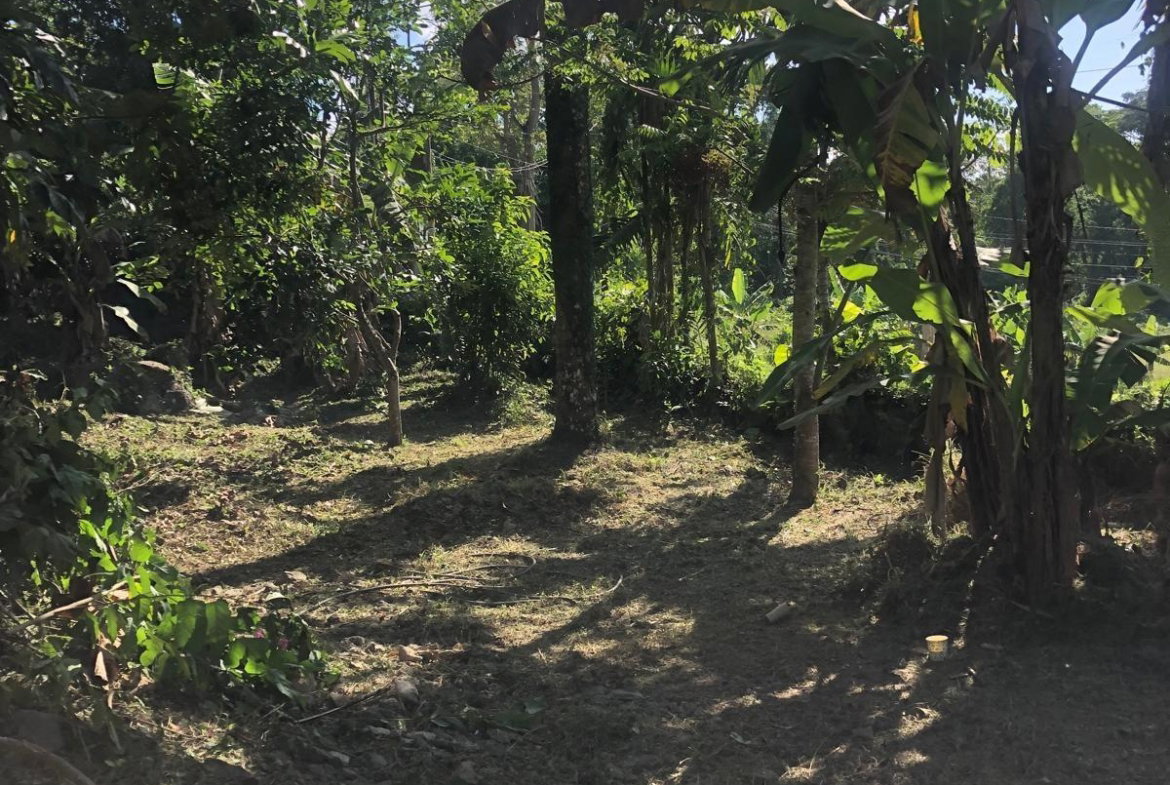 Ninth image of 26- Eltham Close in Eltham, St. Ann, Jamaica - property is For Rent