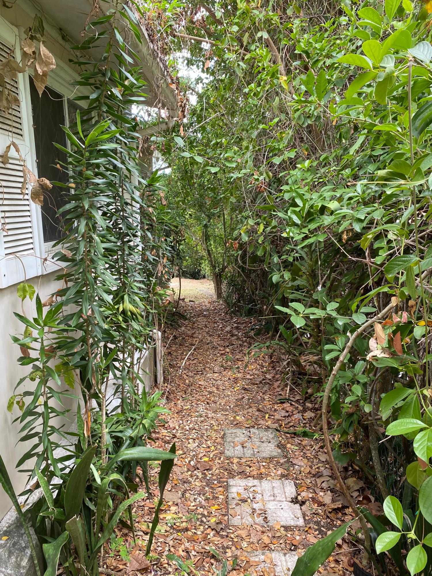 Charming-3-Bedroom-House-for-Sale-in-Irish-Town-St.-Andrew-Jamaica Thirteenth image of 2 Ellerslie Way, Irish Town in Irish Town P.A., St. Andrew, Jamaica - property is For Sale