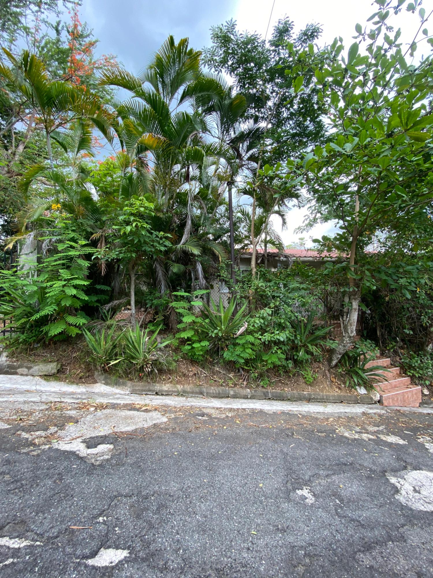 Charming-3-Bedroom-House-for-Sale-in-Irish-Town-St.-Andrew-Jamaica Fourteenth image of 2 Ellerslie Way, Irish Town in Irish Town P.A., St. Andrew, Jamaica - property is For Sale