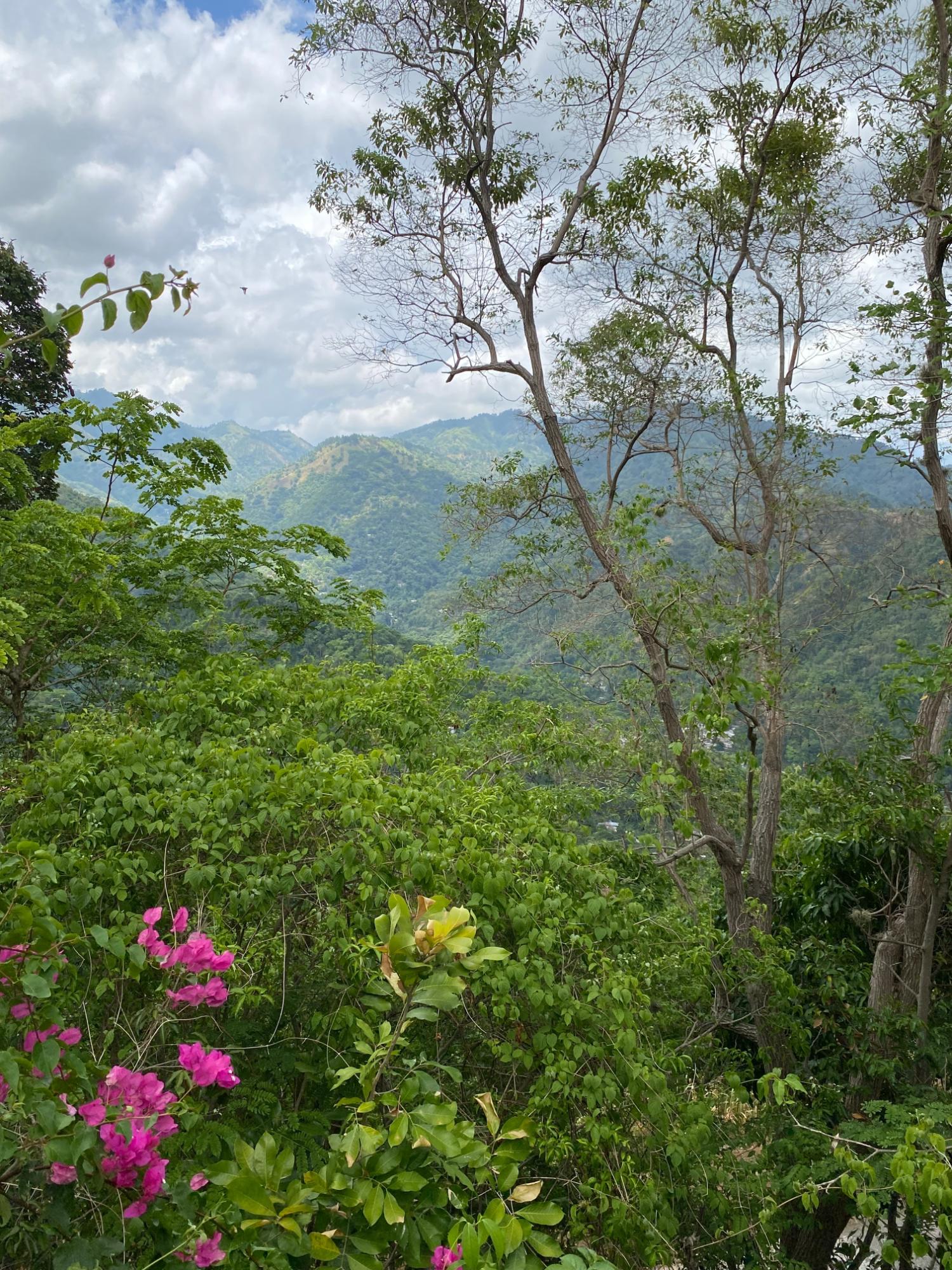 Charming-3-Bedroom-House-for-Sale-in-Irish-Town-St.-Andrew-Jamaica Eighth image of 2 Ellerslie Way, Irish Town in Irish Town P.A., St. Andrew, Jamaica - property is For Sale