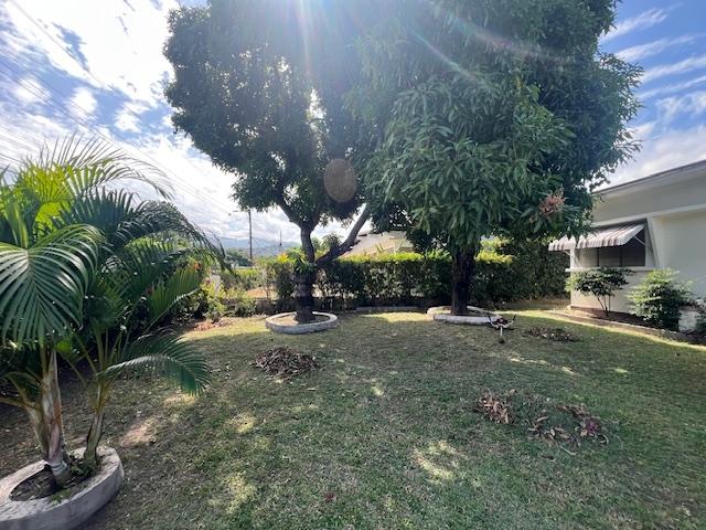 Tenth image of 31 Hurlingham dr Meadowbrook in Kingston 19, St. Andrew, Jamaica - property is For Sale