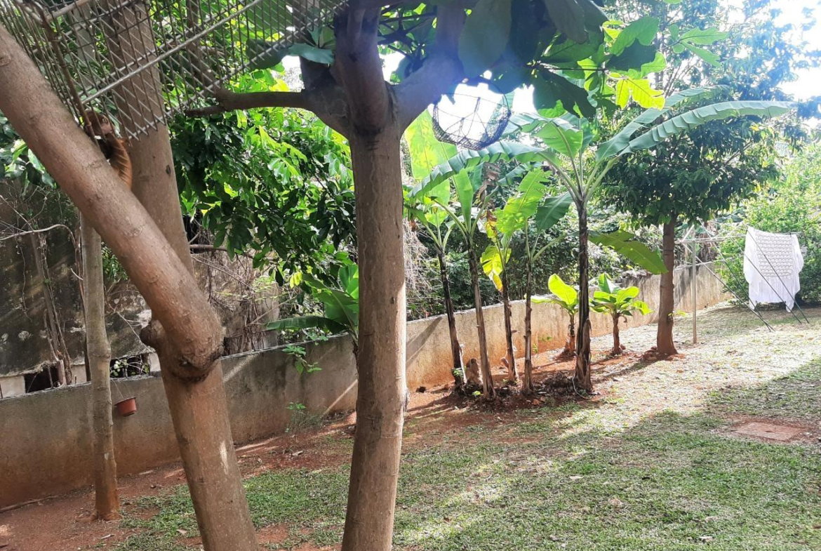 Sixteenth image of 2 Horatio Drive in Kingston 19, St. Andrew, Jamaica - property is For Sale